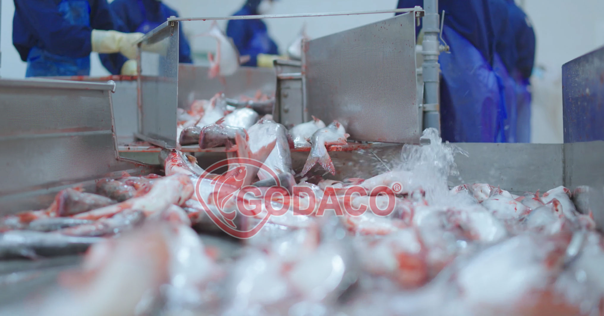 Pangasius Fetches A Record Price In Early 2025