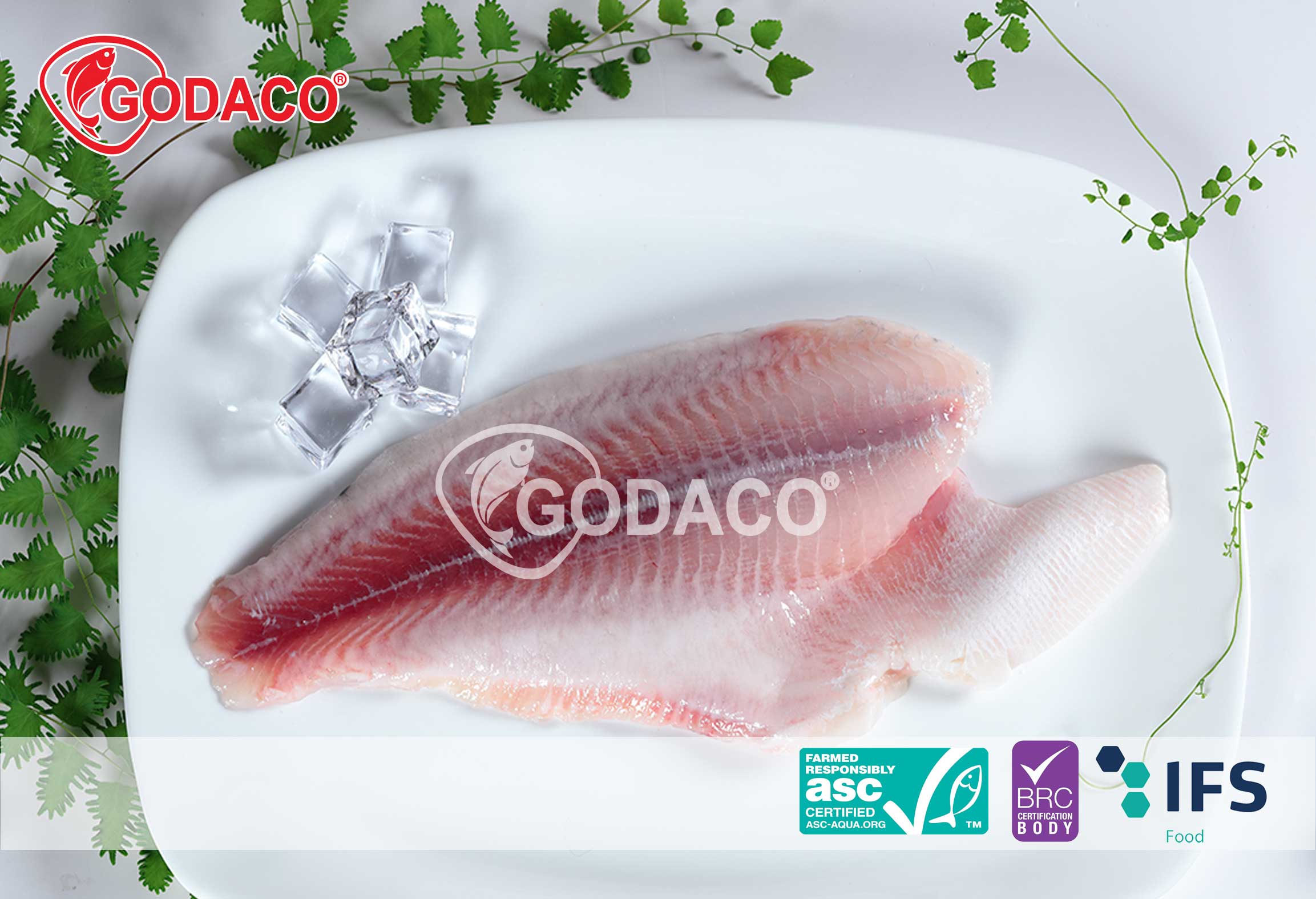 Cá Tra Fillet Un-Trimmed