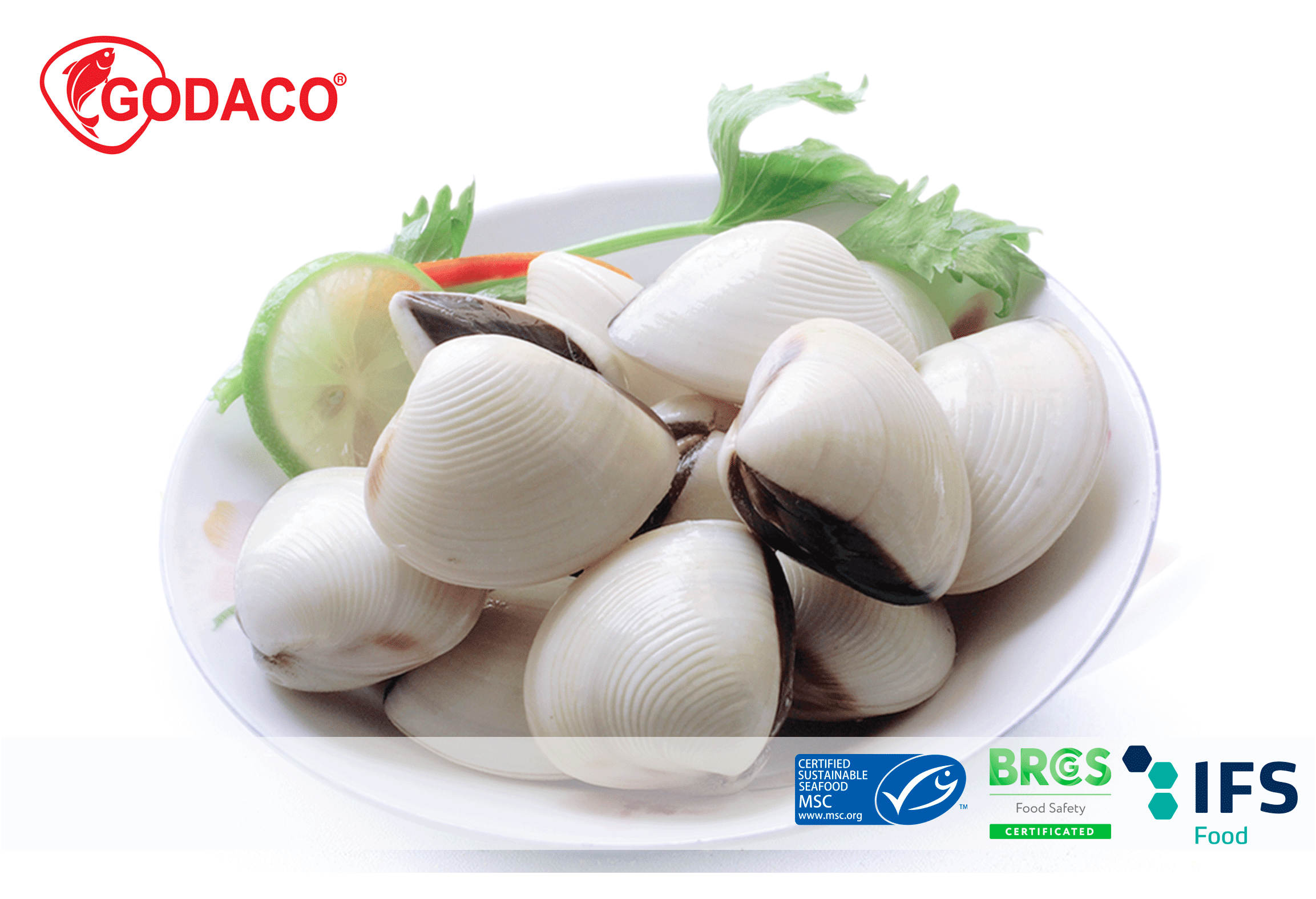 Xuất Khẩu Nghêu Tăng Trưởng Liên Tục