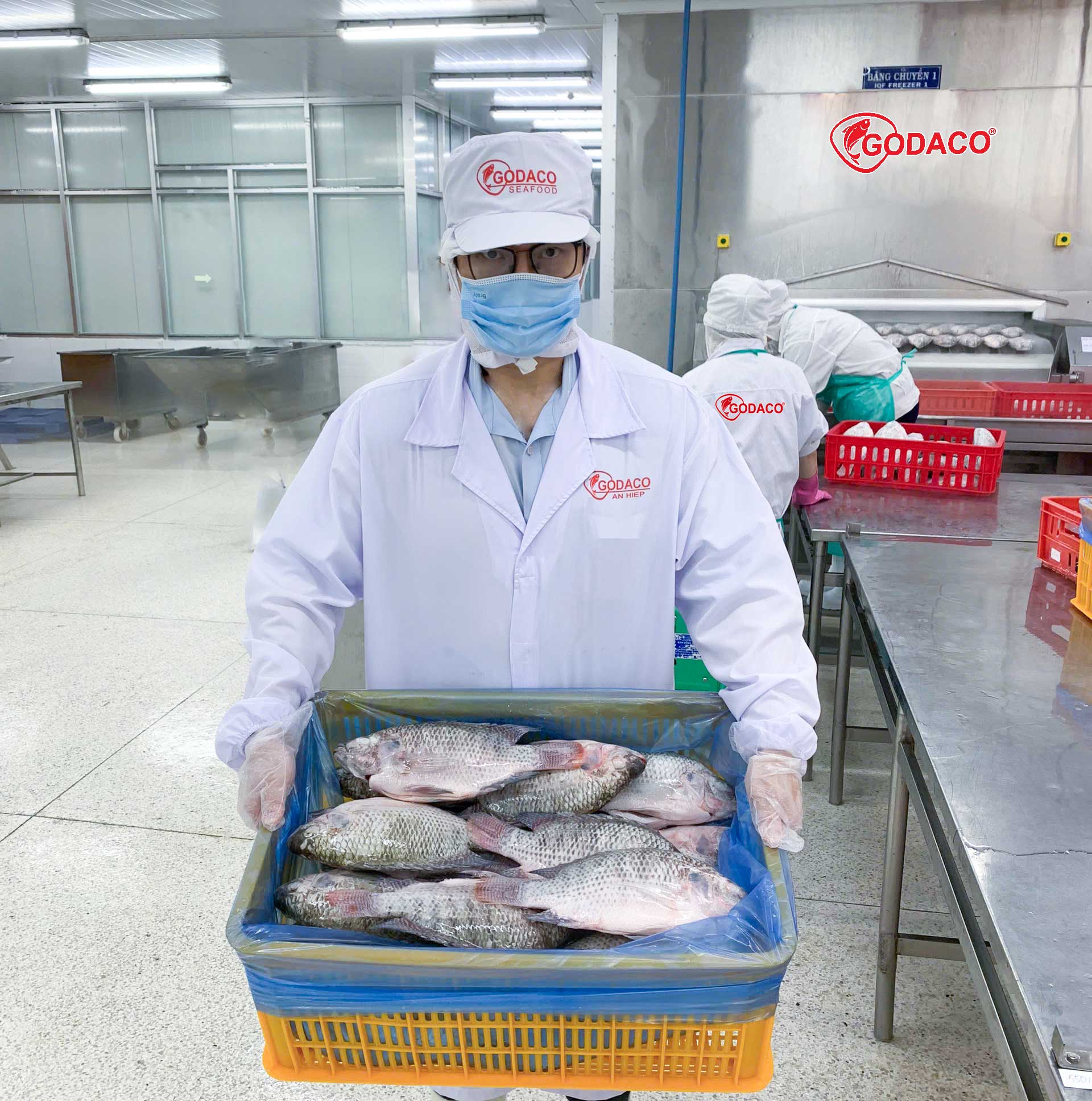 Tilapia Market: Forecast and Trends to 2033
